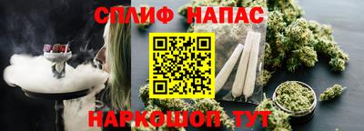 прущие грибы Беслан