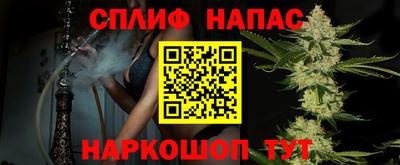 прущие грибы Беслан