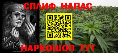 прущие грибы Беслан