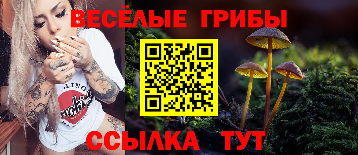 Гурьевск  Псилоцибиновые грибы прущие грибы  Вход с VPN 