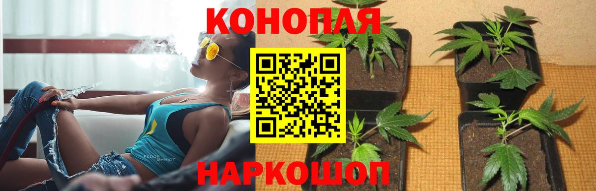 Бошки марихуана ГИДРОПОН Гурьевск